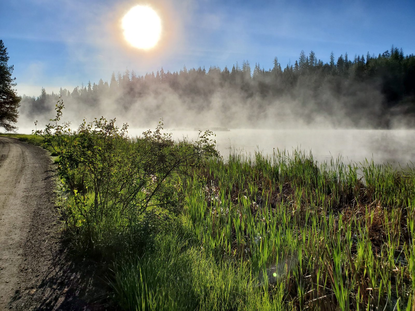 9762BF78-EF70-4D6C-AD97-6112100DB2FB.jpg