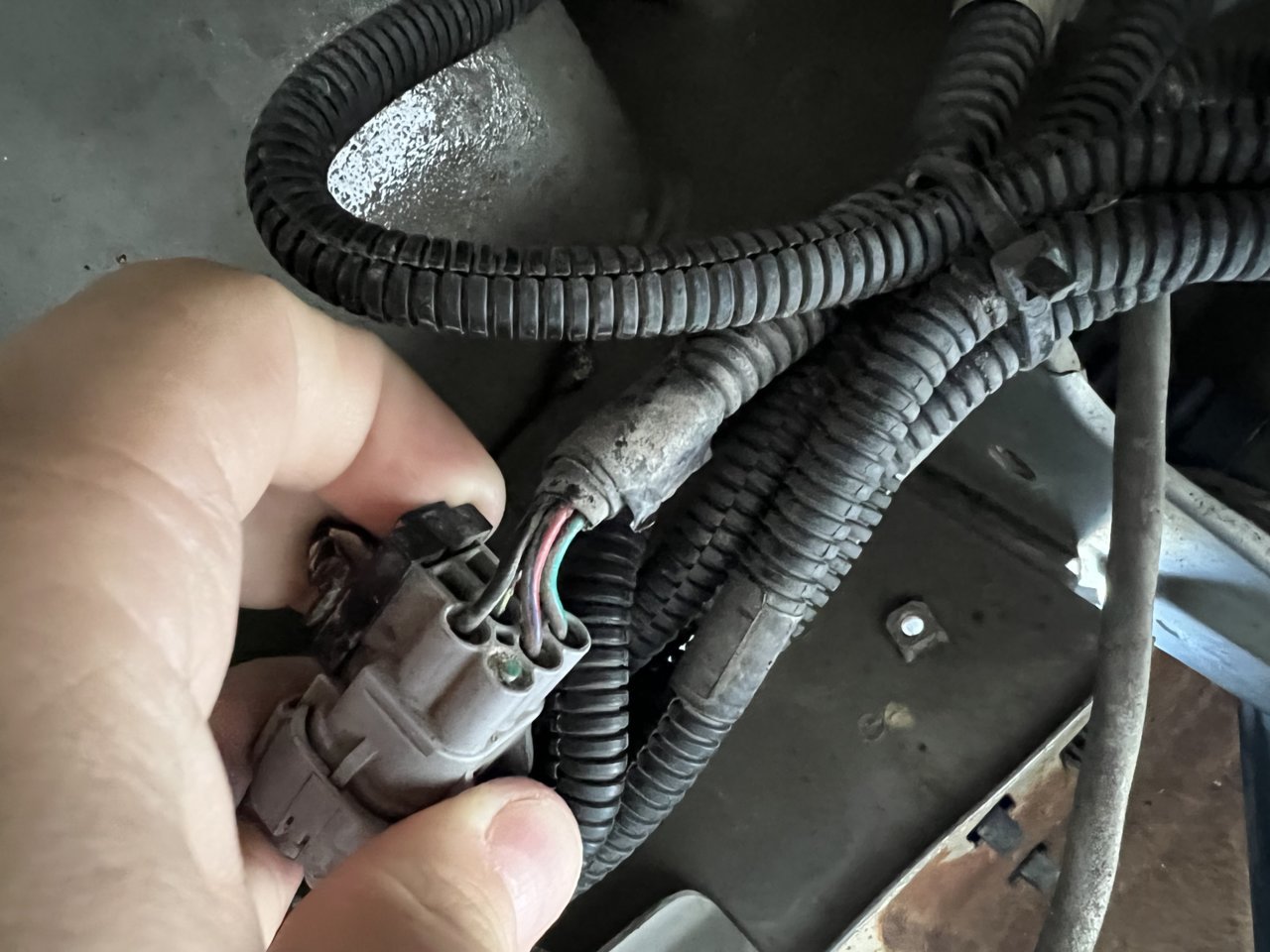 982C4ED4-E320-4586-AAB6-67FEA4ED391F.jpg