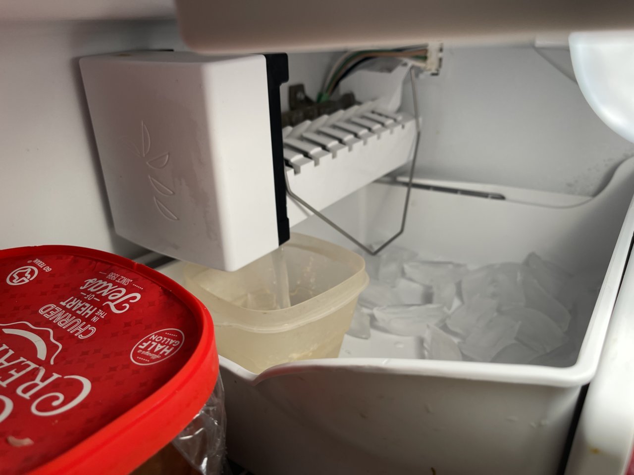 99F19D38-6F27-4632-A1F1-D489A16997C1.jpg