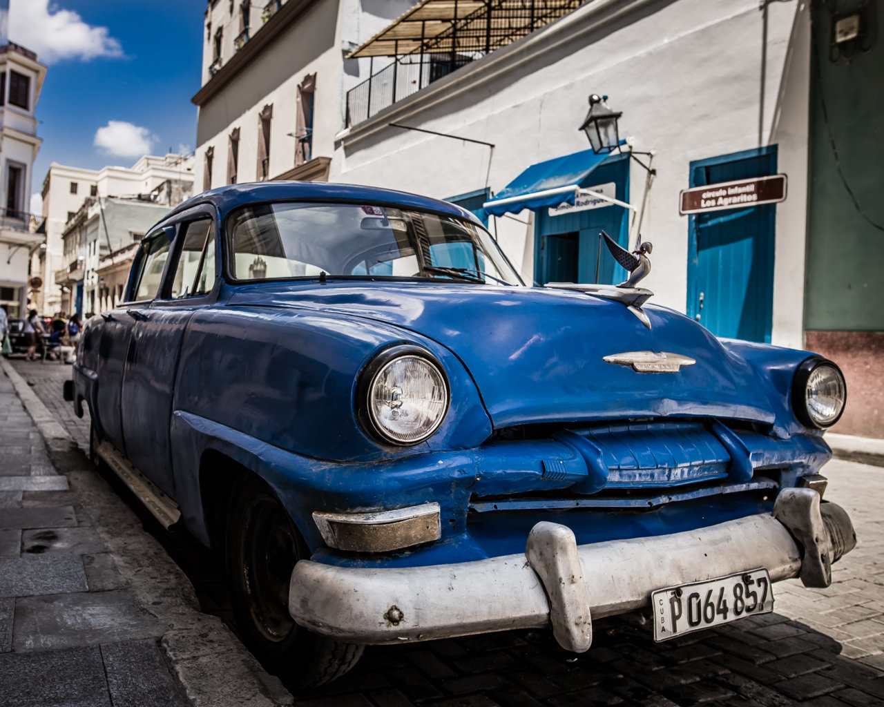 _MG_6156.jpg