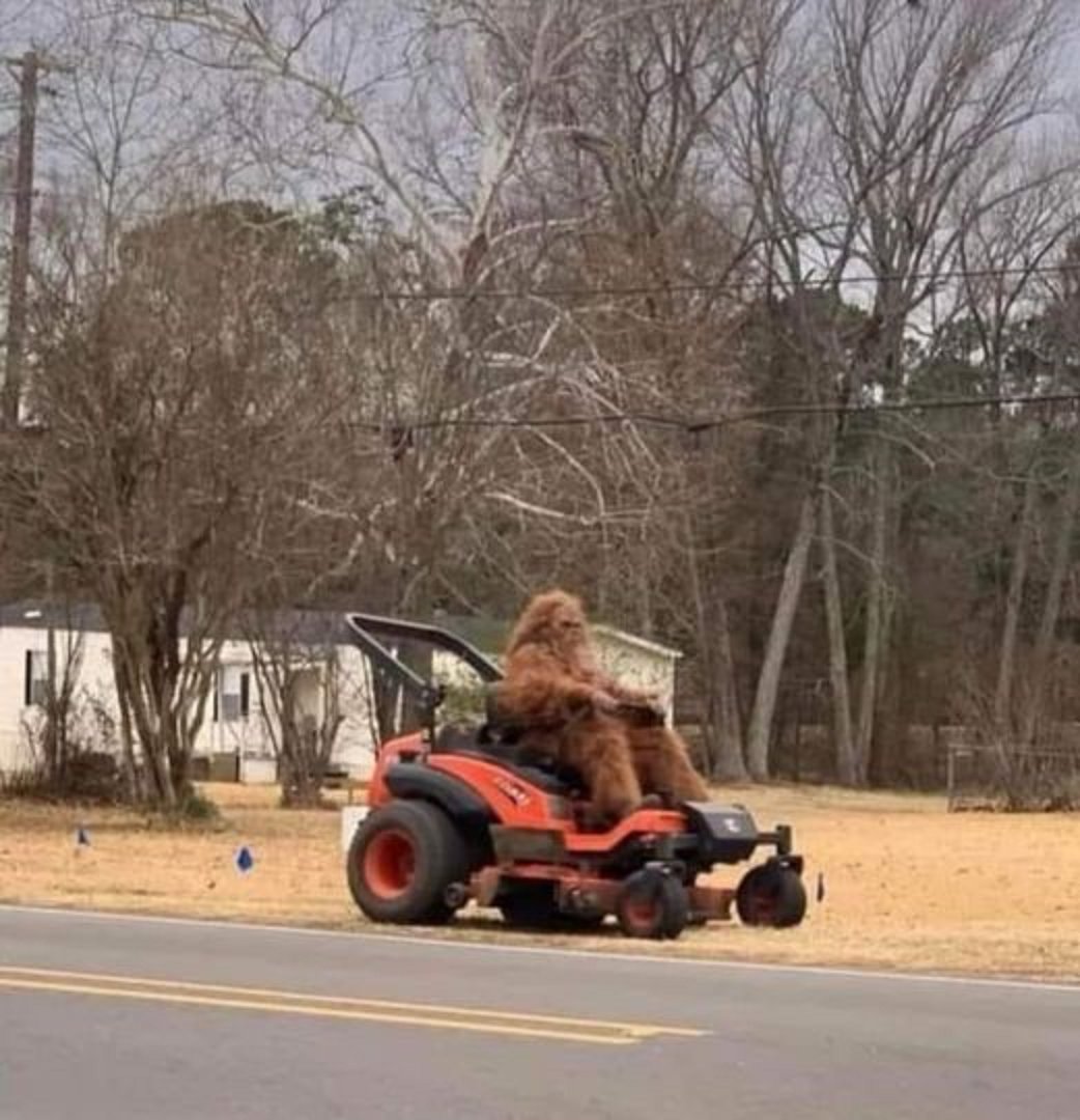 A-Big-Country-mowing-his-lawn.jpg