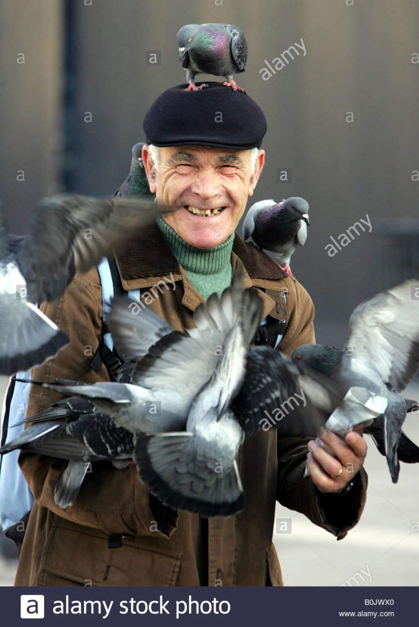 a-man-laughs-as-he-feeds-pigeons-in-venice-B0JWX0.jpg