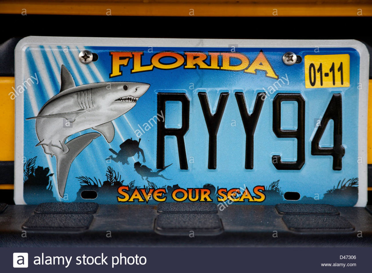 a-shark-is-pictured-on-a-custom-state-of-florida-automobile-license-D47306.jpg