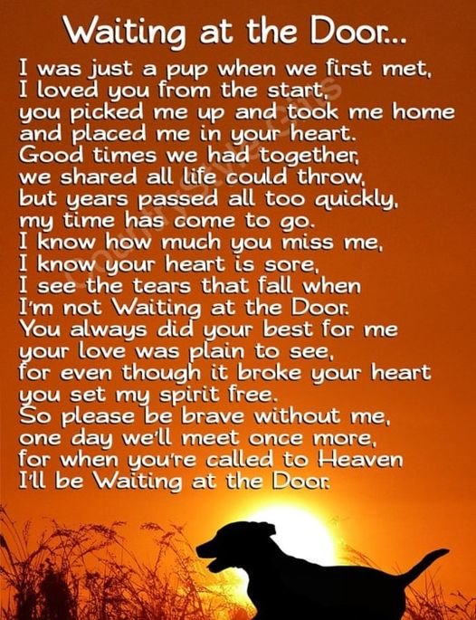 A-waiting-at-the-door.jpg