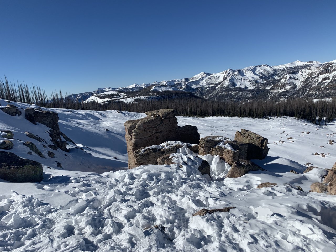 A4AE9A6D-E45F-4A31-8C51-62BFB6D0CA59.jpg