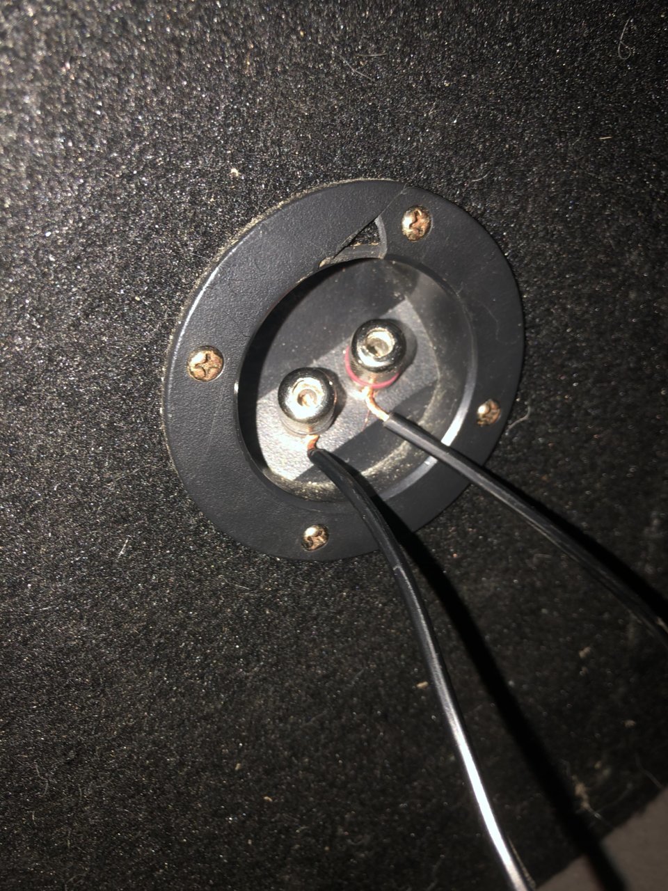A543CB72-C48C-4377-BC0F-1F9378E33A48.jpg