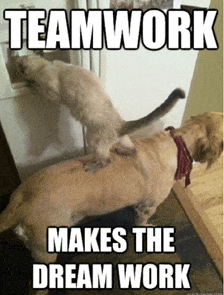 a656ba0b4335e7cdd5eead01b0438c2b92478f1d.gif