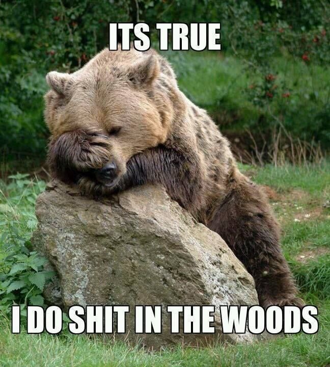 a765594bca04fb22eb25057a873c5199--quarter-life-crisis-funny-bears.jpg