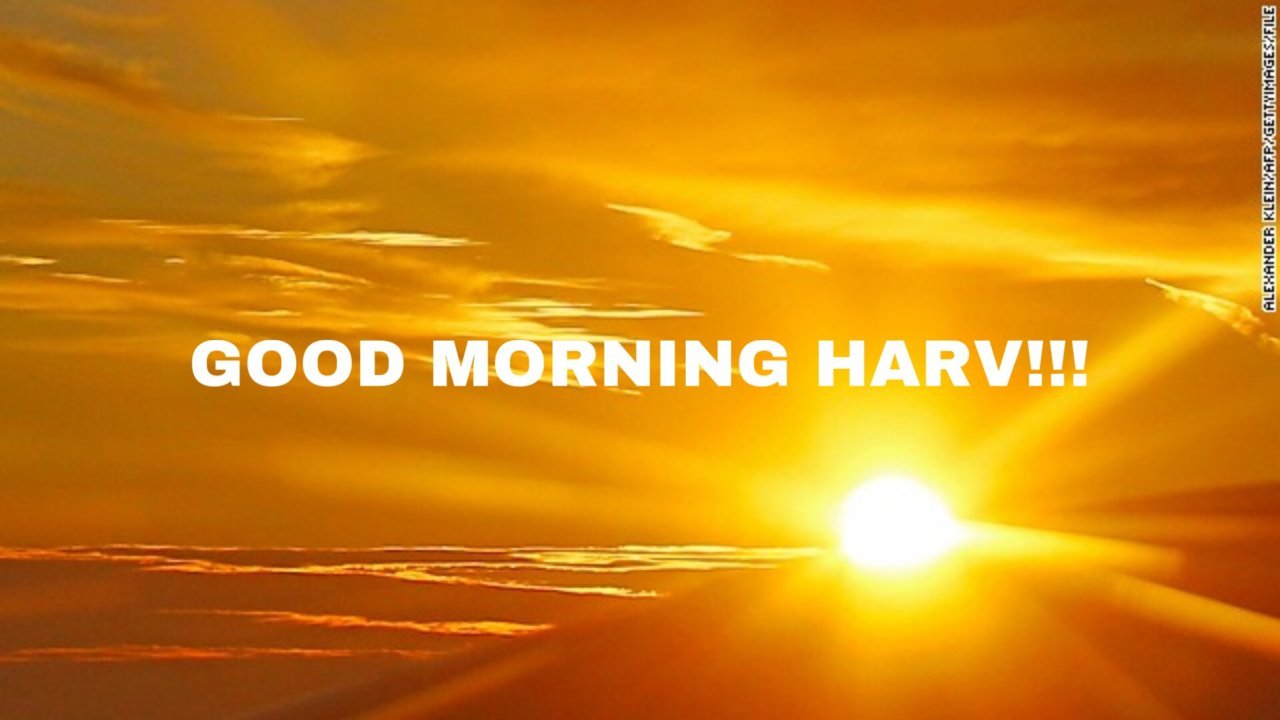 A83332D2-91DB-43F0-8B42-B8B7B3CA81D7.jpg