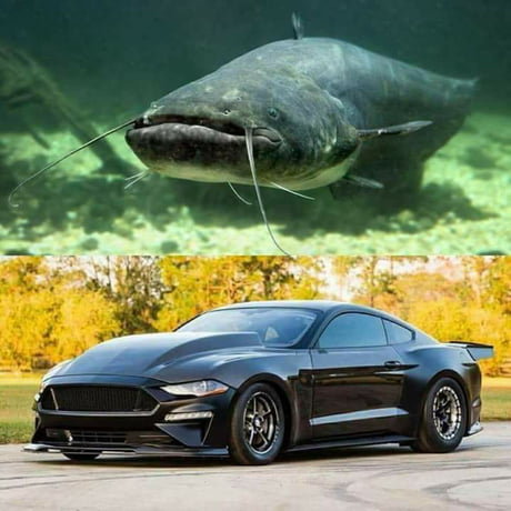 a88xXee_460s.jpg