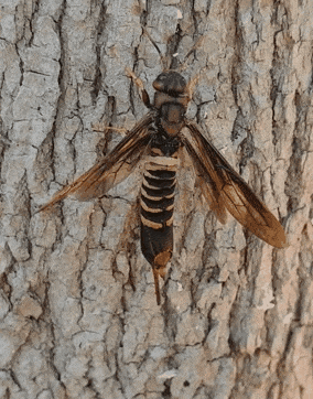 a95992d06aece471338aebcbc59eb8648e0b38c3.gif