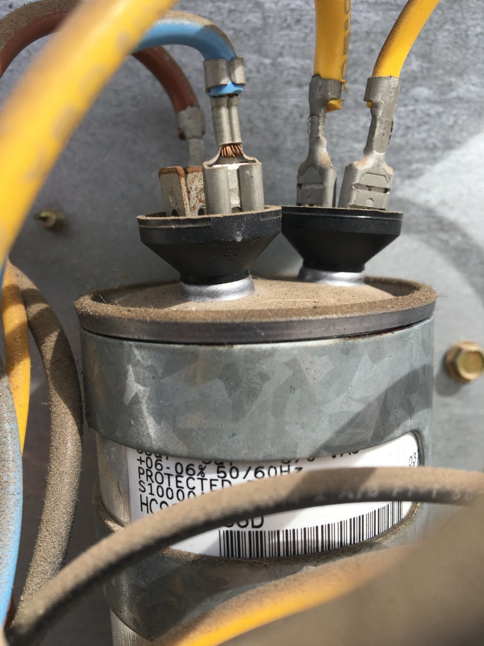 AA137341-0BD3-4572-AEC5-649EC5C89027.jpg