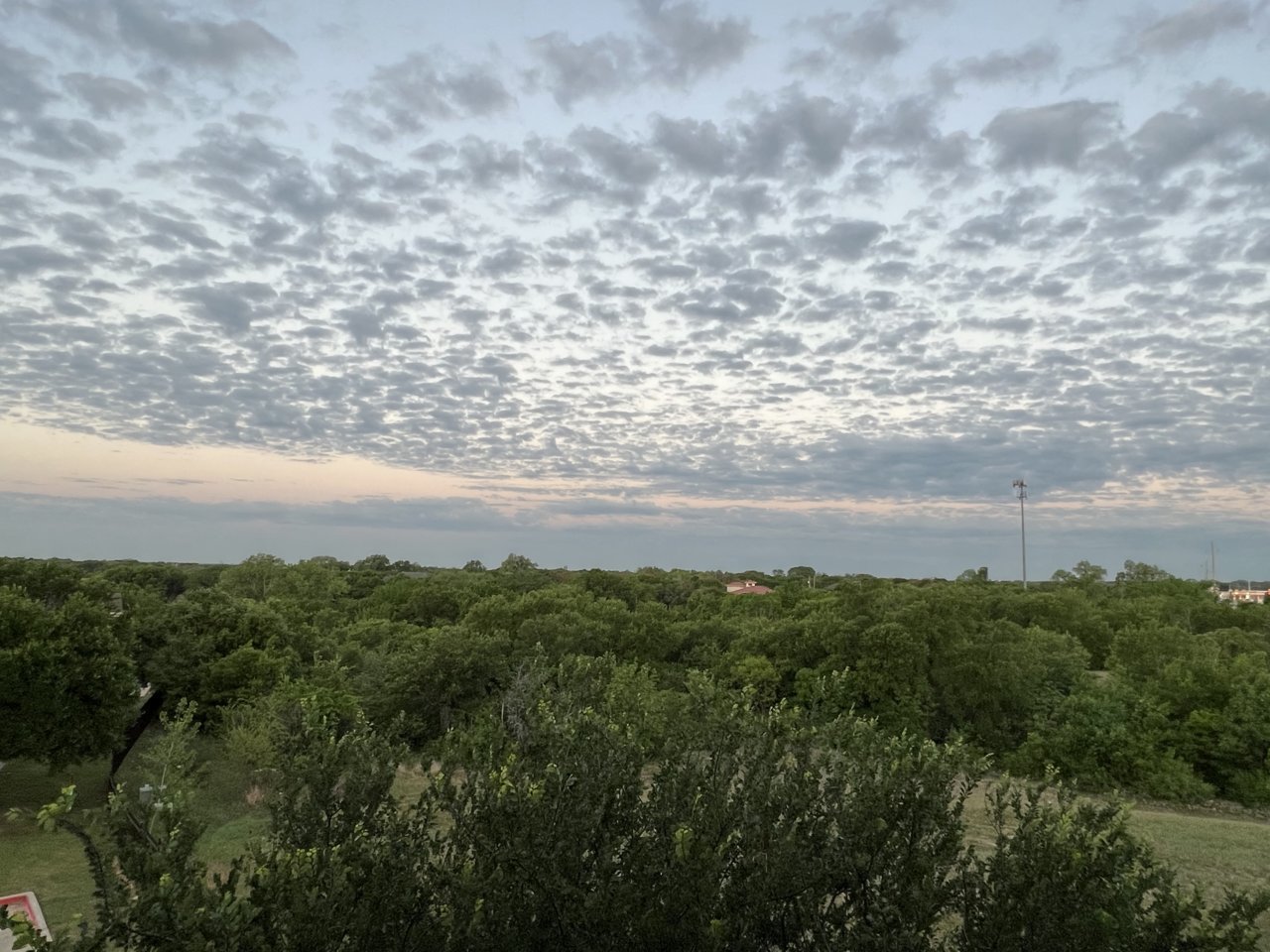 AB7E5E00-C4D3-4C31-92C9-D50641CAFDB5.jpg