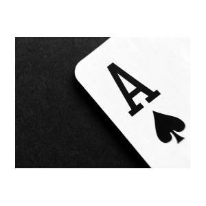 Ace.jpg