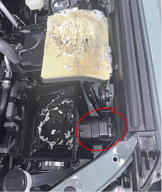air box and point of entry circled in red.jpg