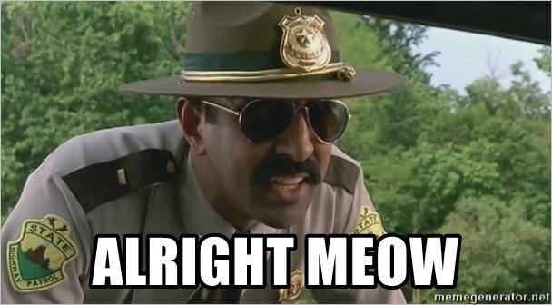 alright-meow.jpg