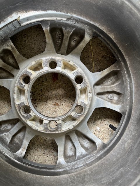 andytacomawheel3.jpg