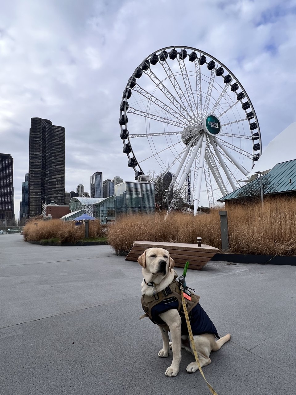 arthur_chicago1.jpg