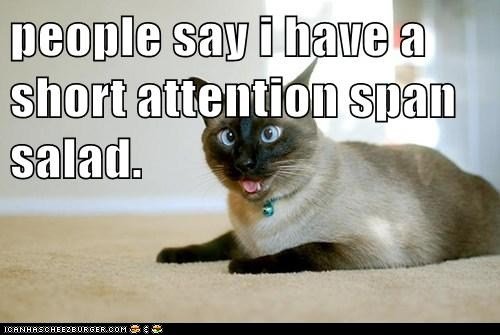 attention span.jpg