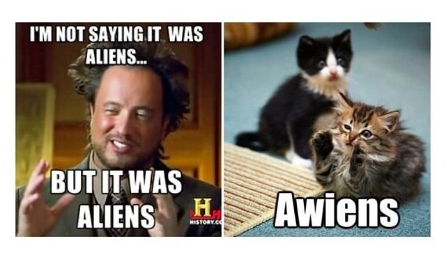 Awiens.jpg