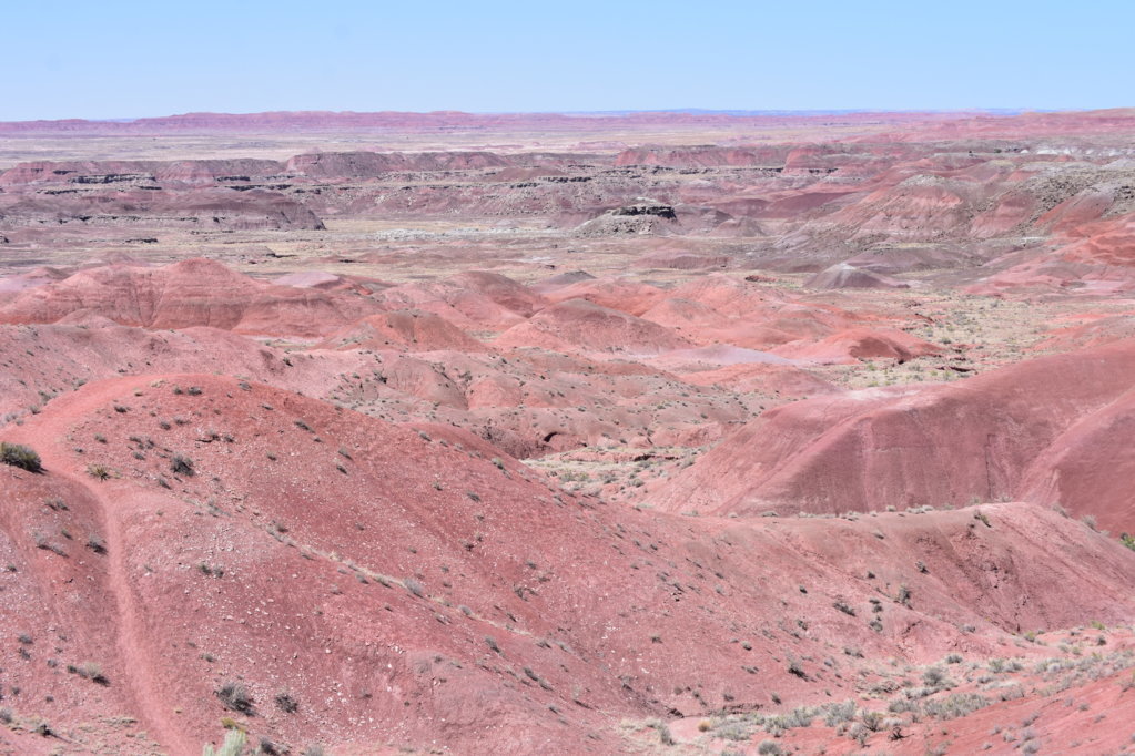 AZandNM16.jpg