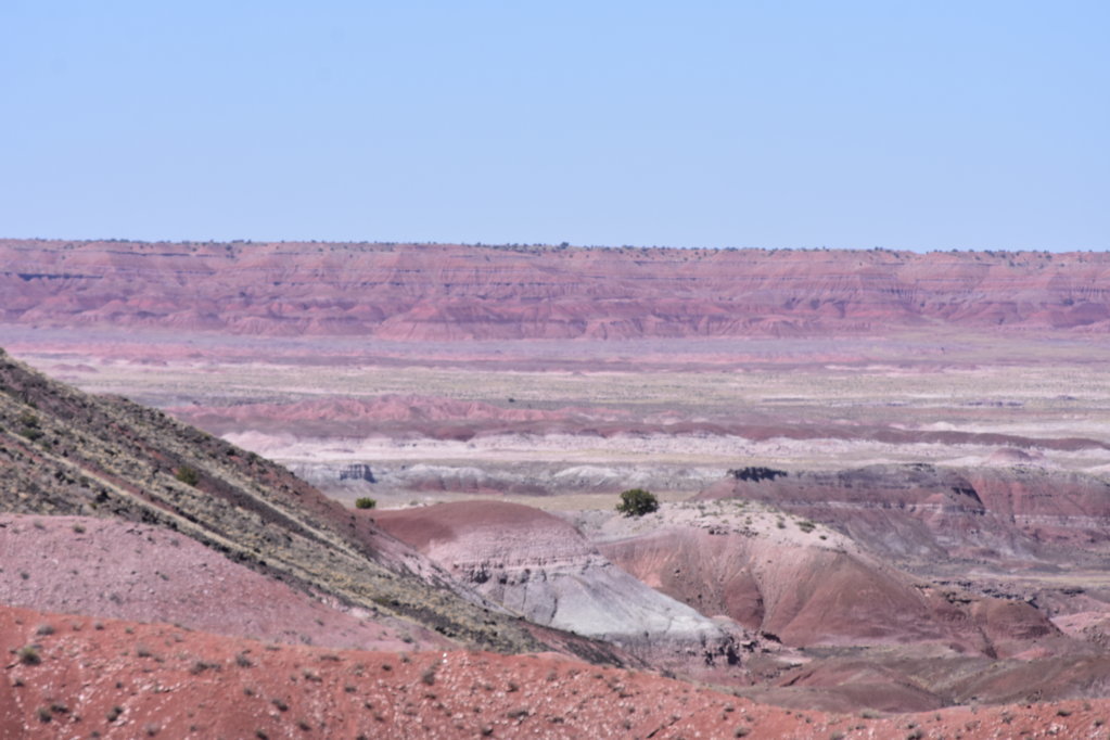 AZandNM20.jpg
