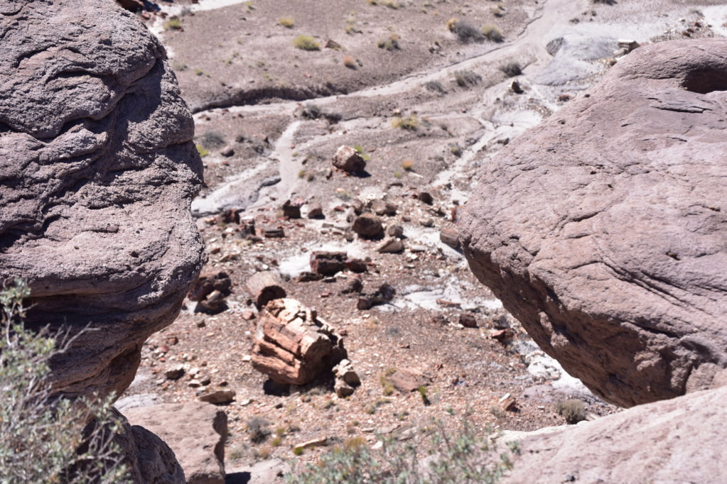 AZandNM26.jpg