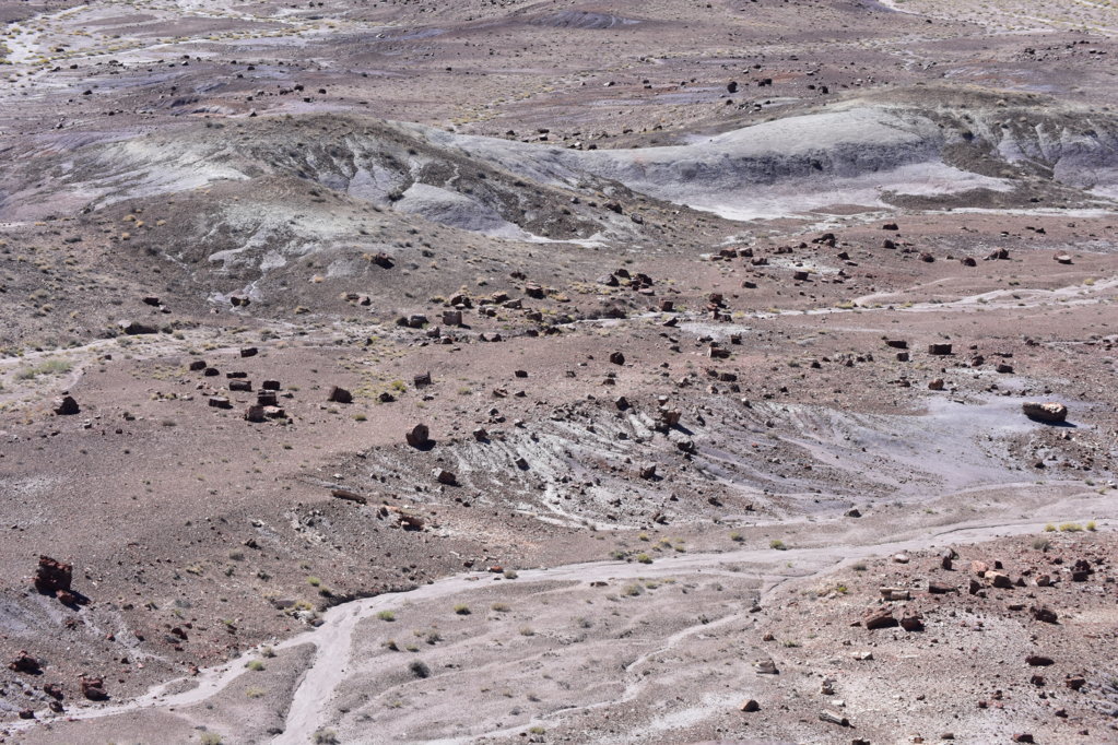 AZandNM27.jpg