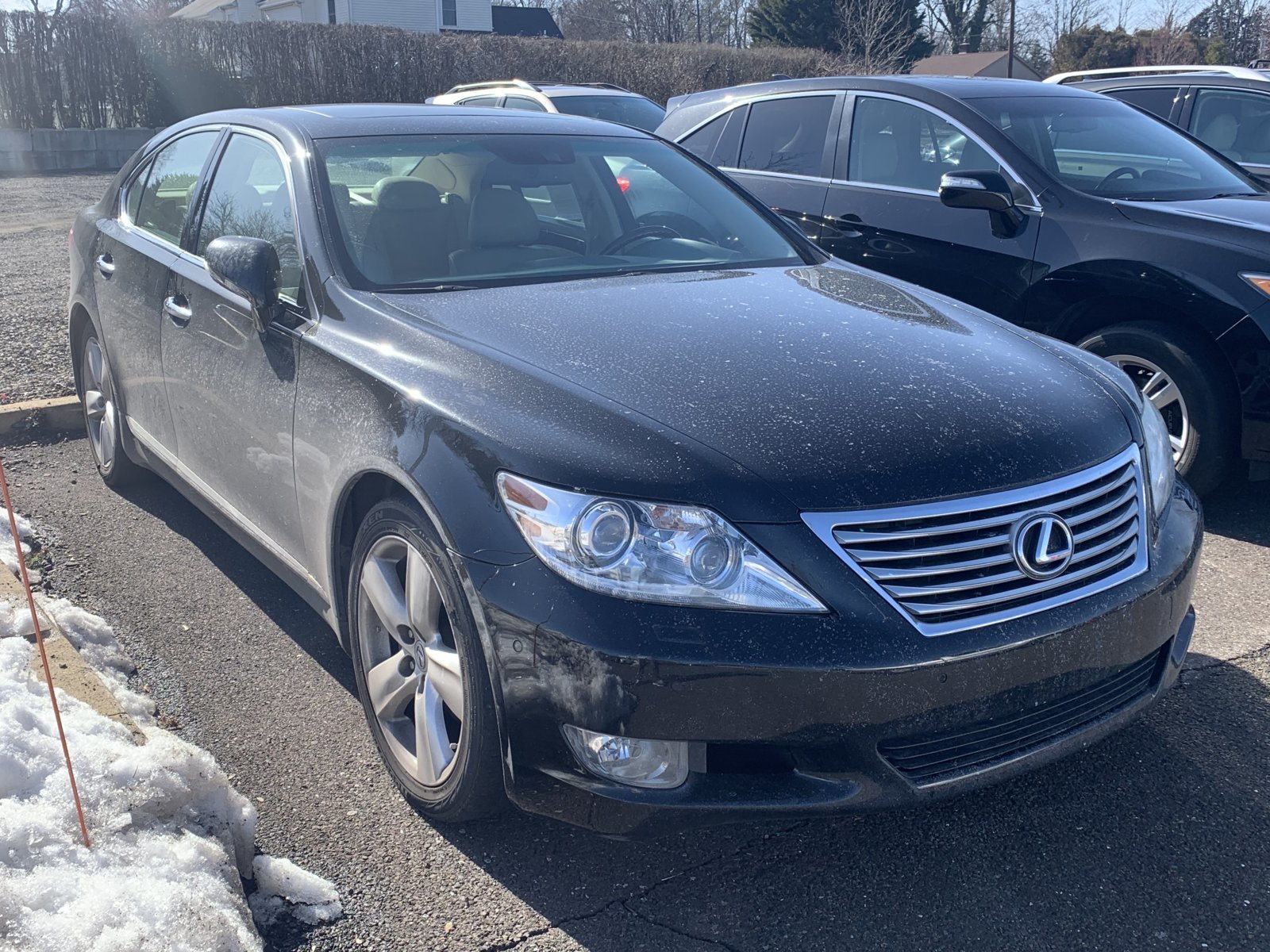 B687E3ED-6EBD-46EB-9B97-54DD6BCDD292.jpg