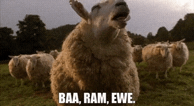 b7bf992c6e8f76bf61879461f2437908515a76d1.gif