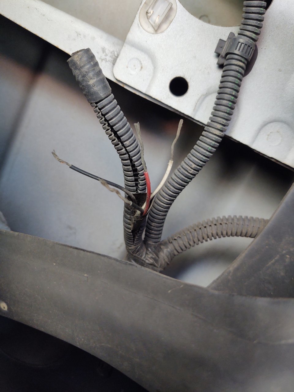 backup cam wires.jpg