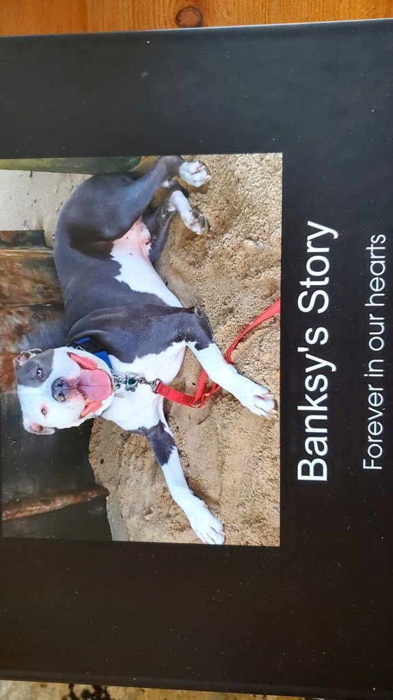 Banksy book..jpg