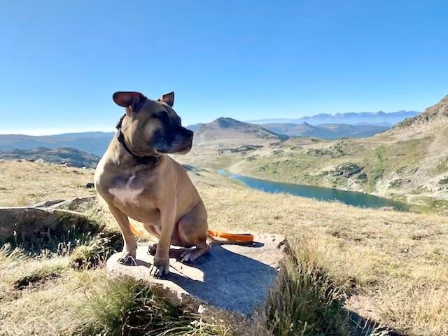 Barkley Yellowstone Bear Tooth Pass.jpg