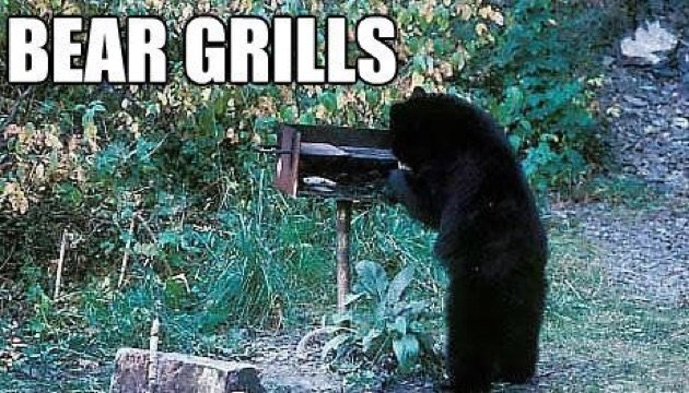 Bear-Grylls-Memes19.jpg