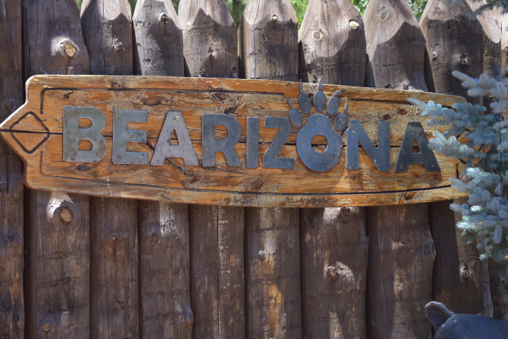 Bearizonia4.jpg