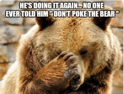 bearpoke.jpg