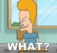 Beavis what.jpg