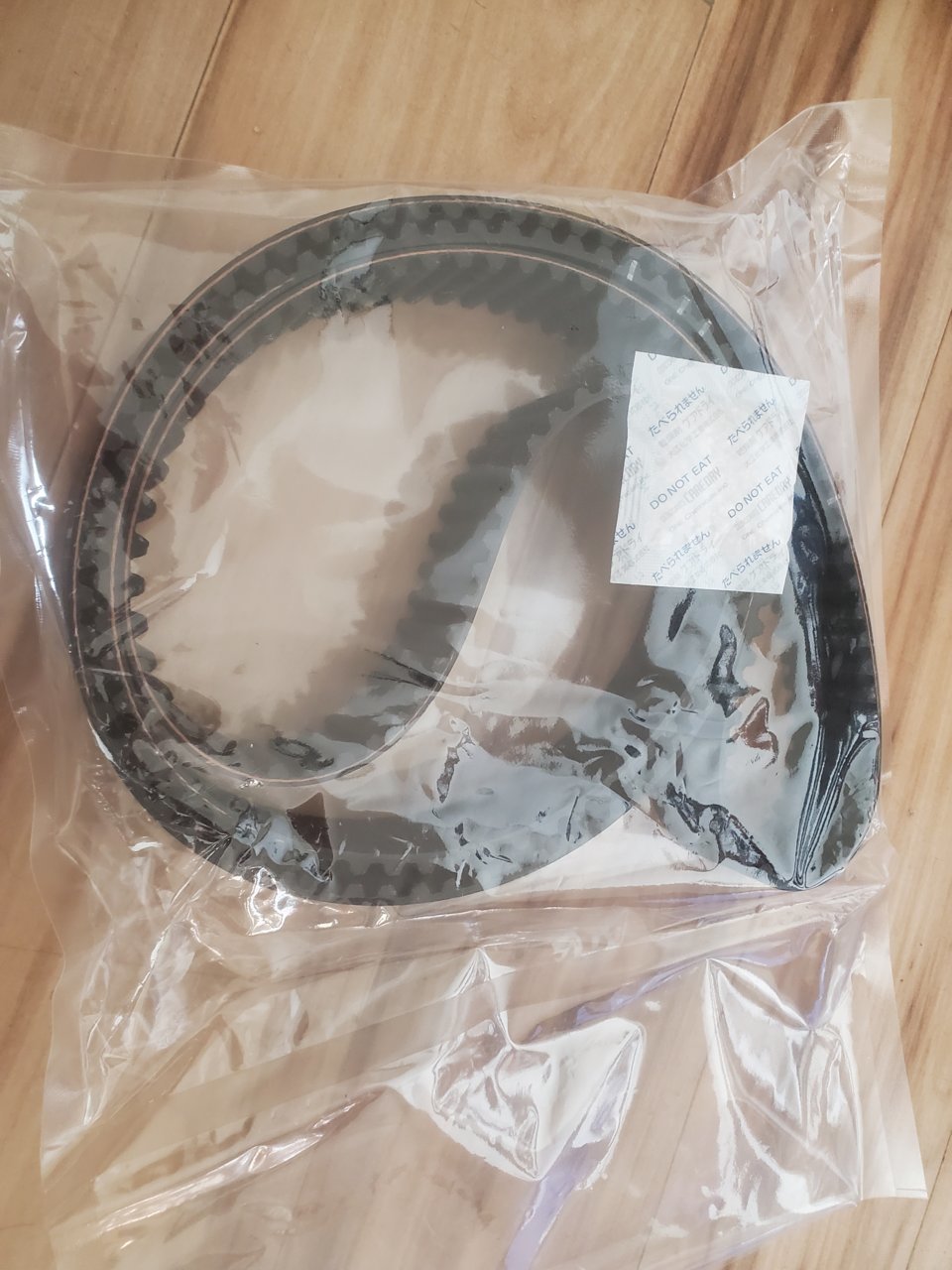 BELT 2.jpg