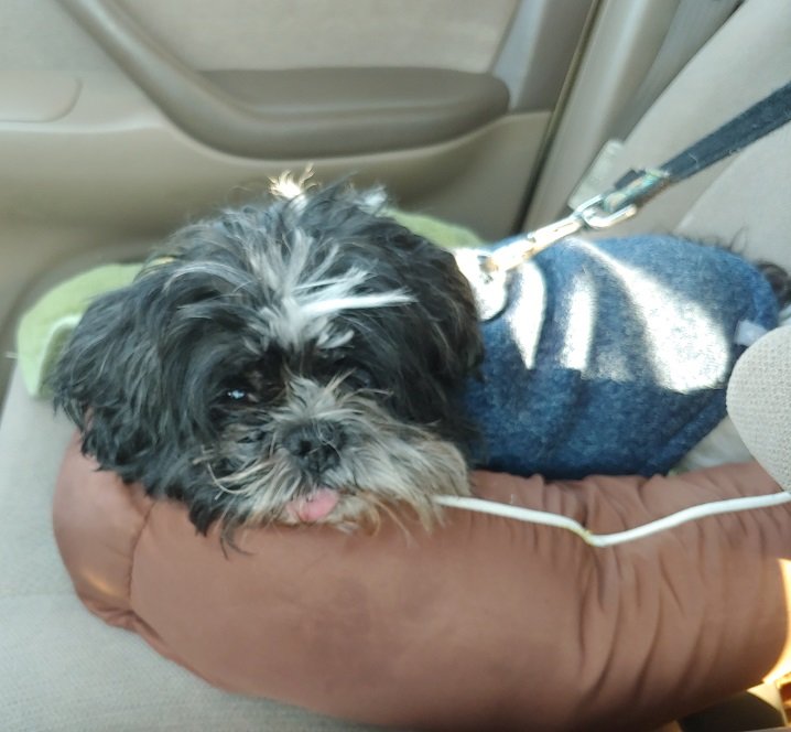 Bentley.jpg