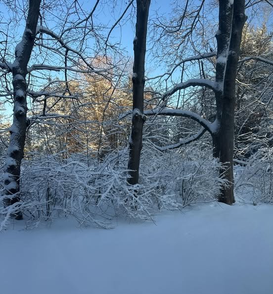 berwick snow 5.jpg