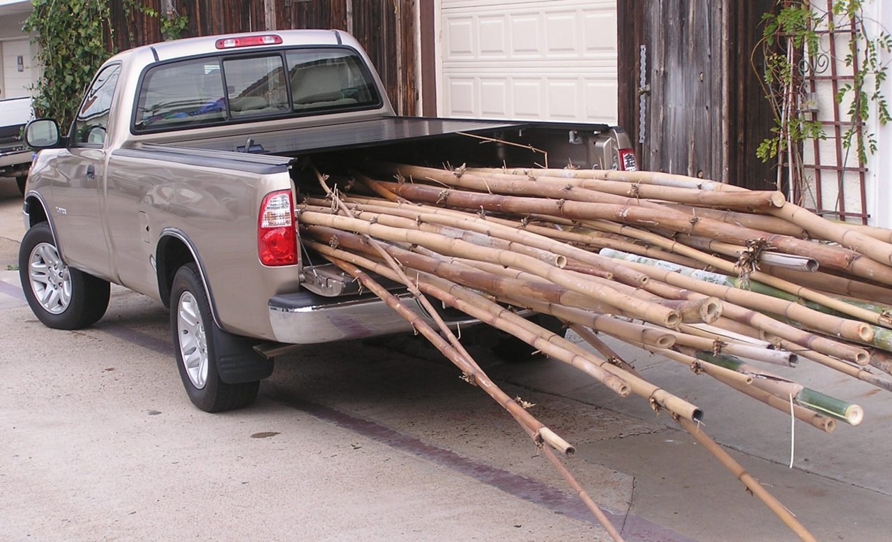 Big Bamboo1.jpg