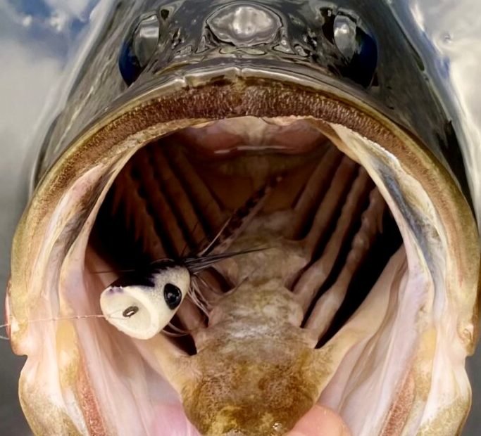big bass mouth.jpg