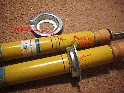 Bilstein Perch.jpg