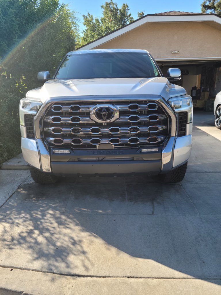 Black out Badge on Grille.jpg