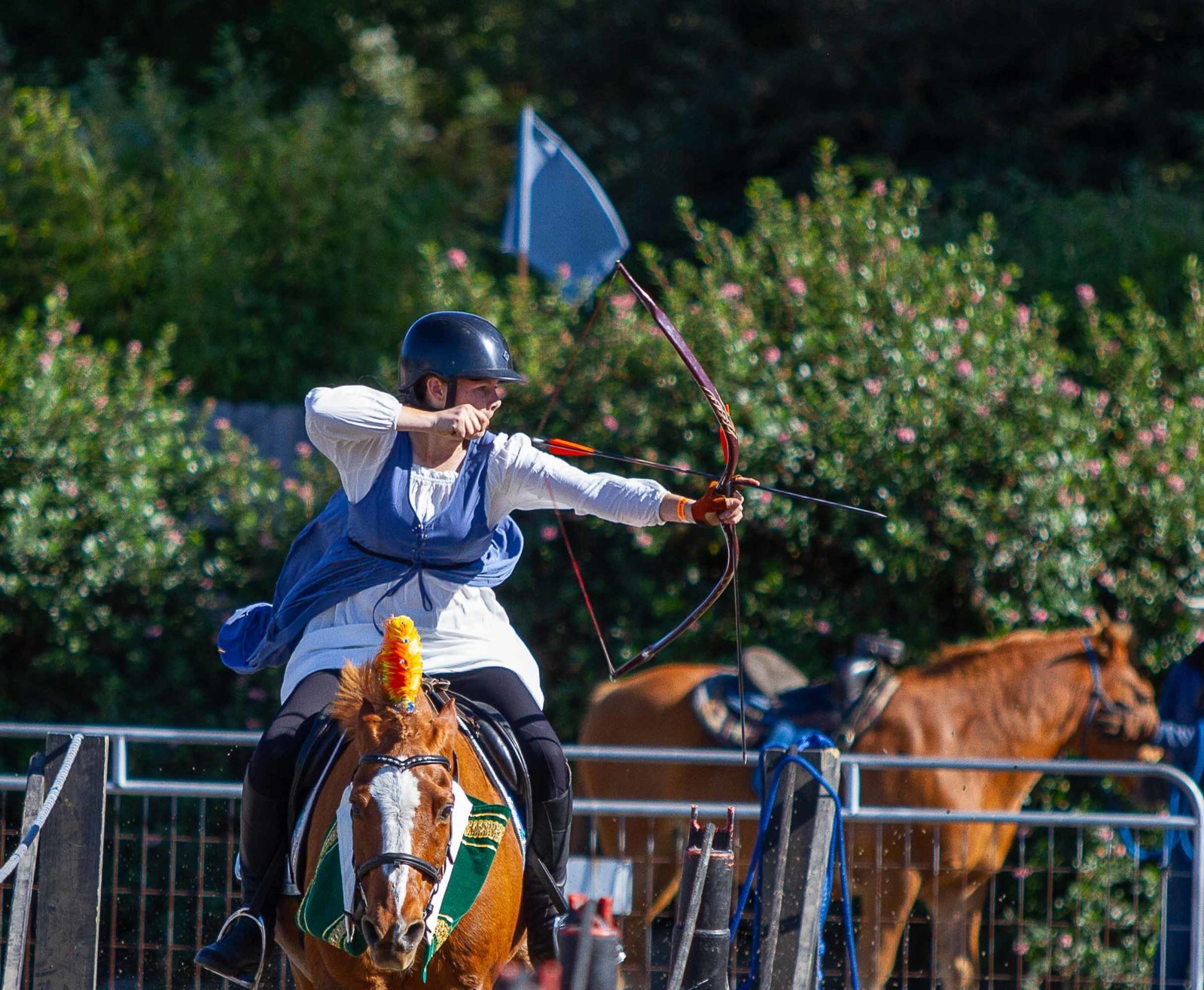 Blue Lake Medieval Festival 10-8-23-100.jpg