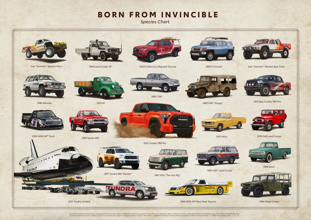 Born-From-Invincible-Species-Chart.jpg