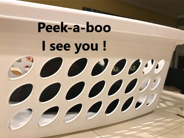 Buddy Laundry Basket.jpg