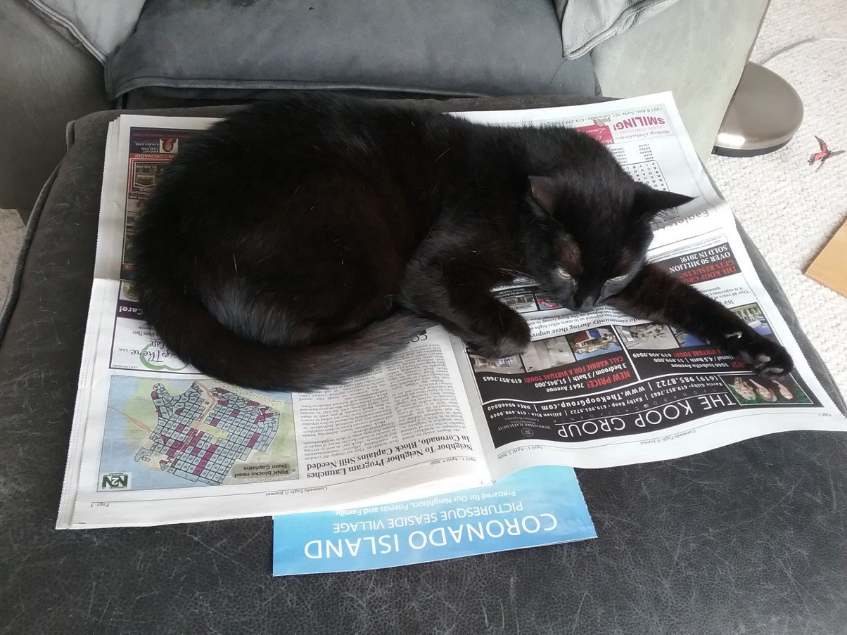 Buddy ~ Newspaper.jpg