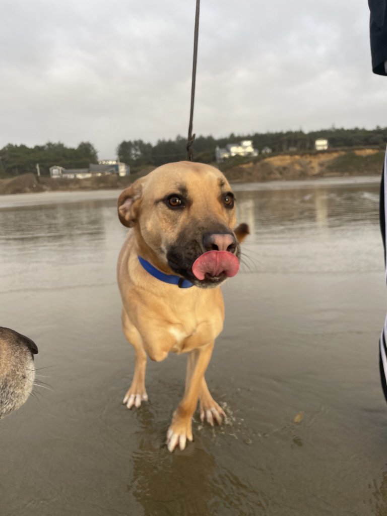 BuddyBeachTongue.jpg