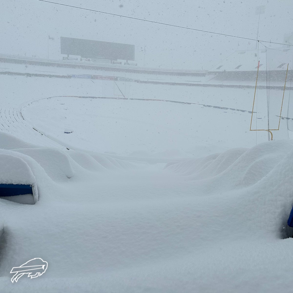 Buffalo.jpg